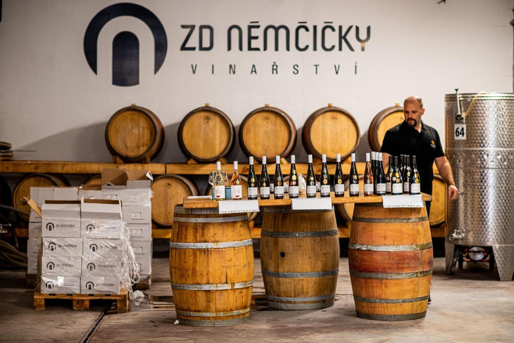Ubytovani Ve Vinarstvi Zd Nemcicky 外观 照片